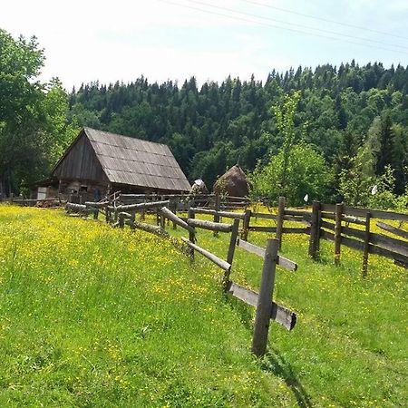 Pensiunea Miesca Matisesti Dış mekan fotoğraf