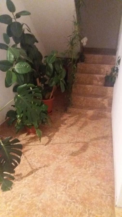 Pensiunea Miesca Matisesti Dış mekan fotoğraf